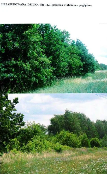 MALINIE KOŁO MIELCA