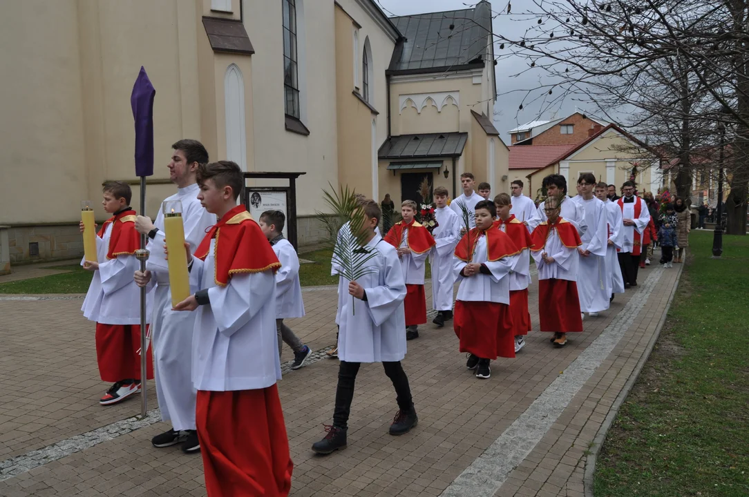 Parafianie w Przecławiu świętowali z pięknymi palmami własnego wykonania