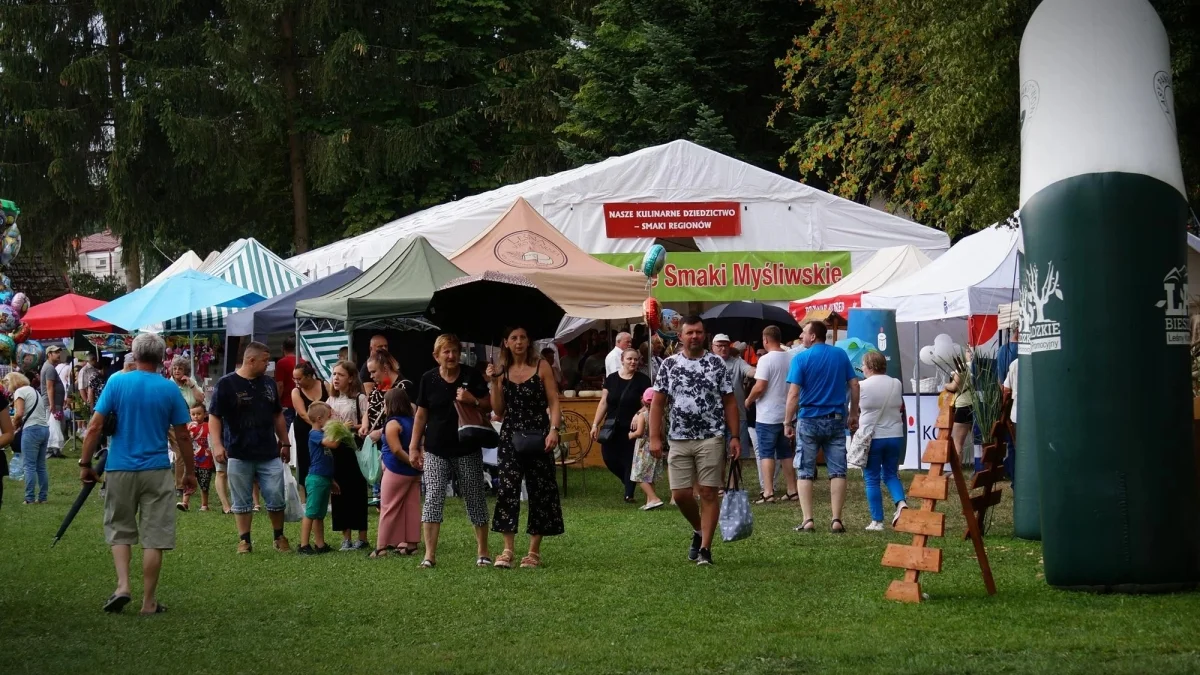 Wakacyjny weekend w Bieszczadach i regionie. Agrobieszczady, Eko Cypel, Dzień Wilka i wiele więcej [PLAN WYDARZEŃ] - Zdjęcie główne