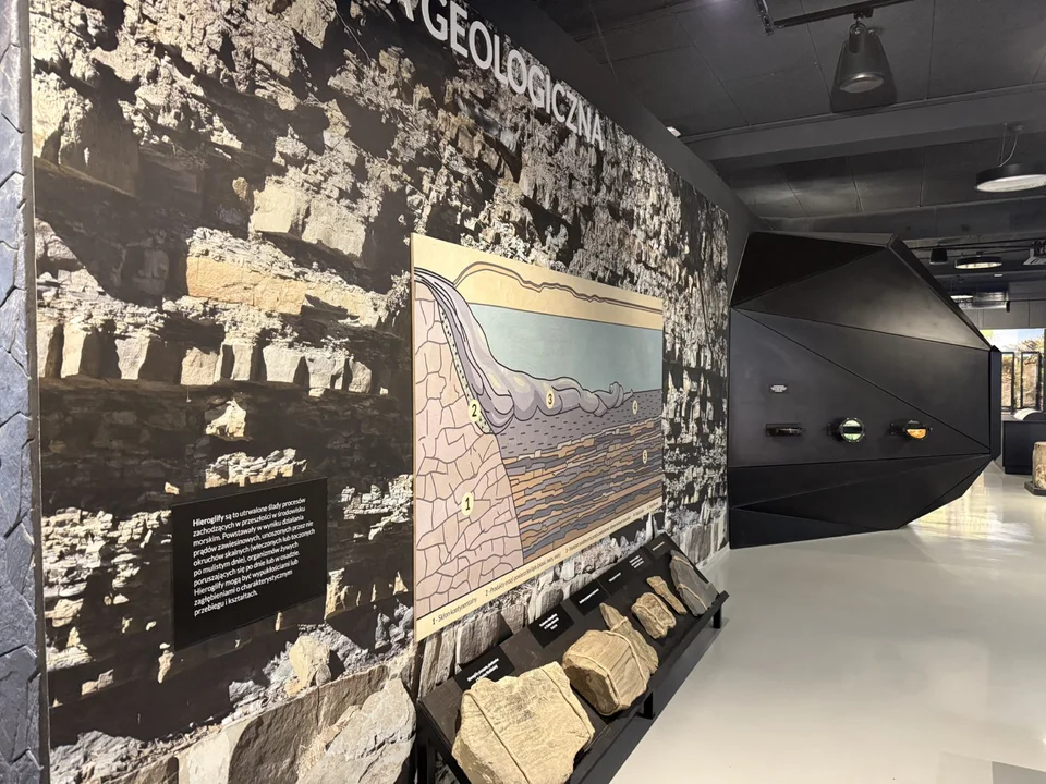 Muzeum Przyrodnicze Bieszczadzkiego Parku Narodowego w Ustrzykach Dolnych