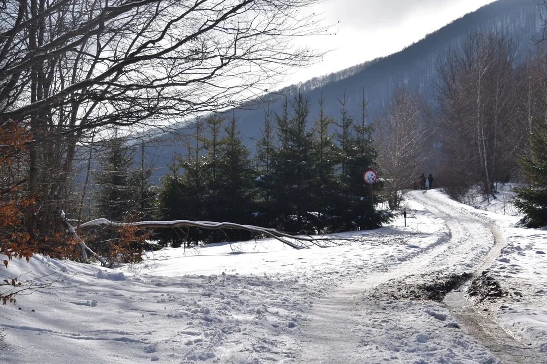 Bieszczady. Przełęcz Wyżniańska w styczniowy dzień. Zobaczcie najnowsze zdjęcia [ZDJĘCIA] - Zdjęcie główne