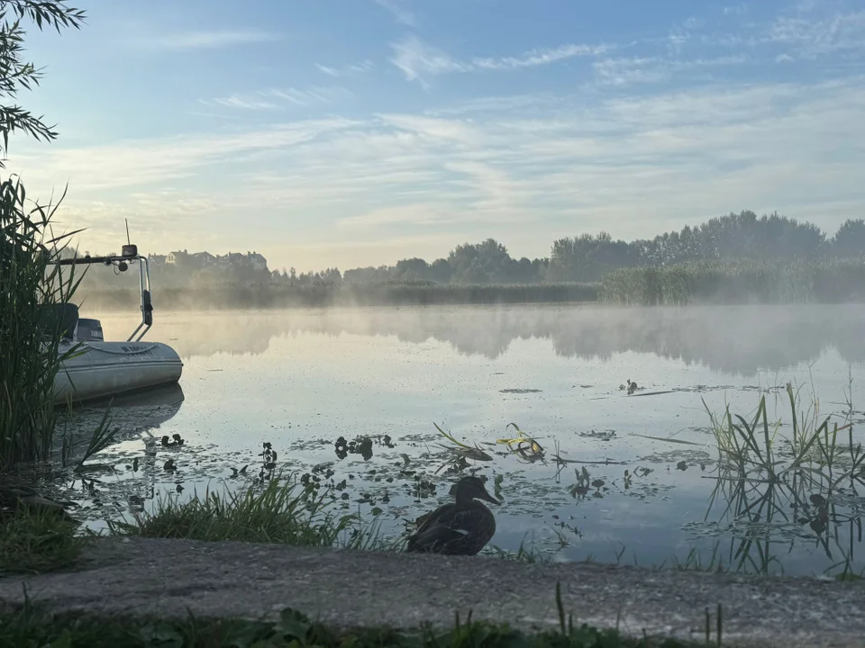 Kaczki