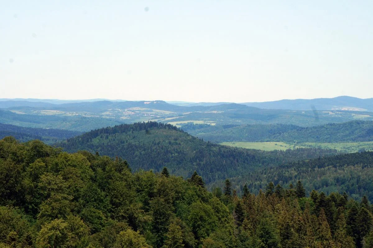 Bieszczady. Wieża widokowa na Jeleniowatym to popularna atrakcja turystyczna. Przez dwa dni mogą wystąpić tam utrudnienia [ZDJĘCIA] - Zdjęcie główne