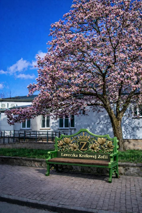 Ławeczka Królowej Zofii w Sanoku - propozycje kolorów