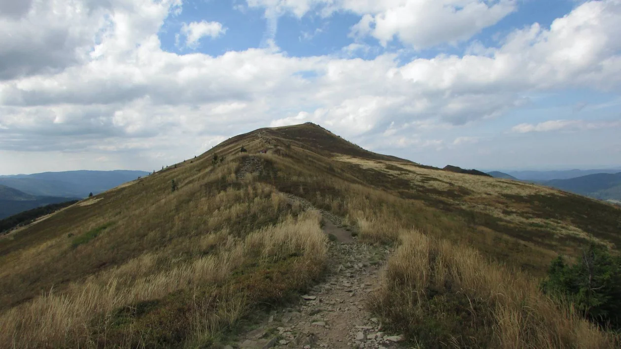 Szlak na Połoninę Caryńską z Przełęczy Wyżniańskiej