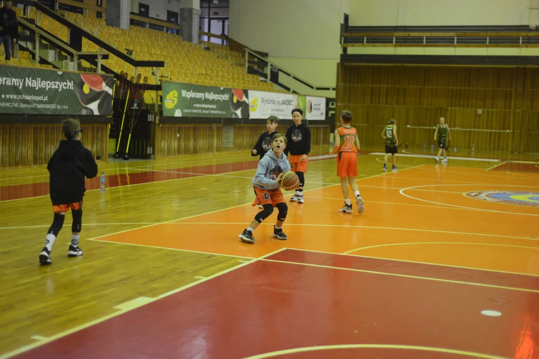 Podkarpacka Liga Koszykówki Chłopców U12 w Tarnobrzegu