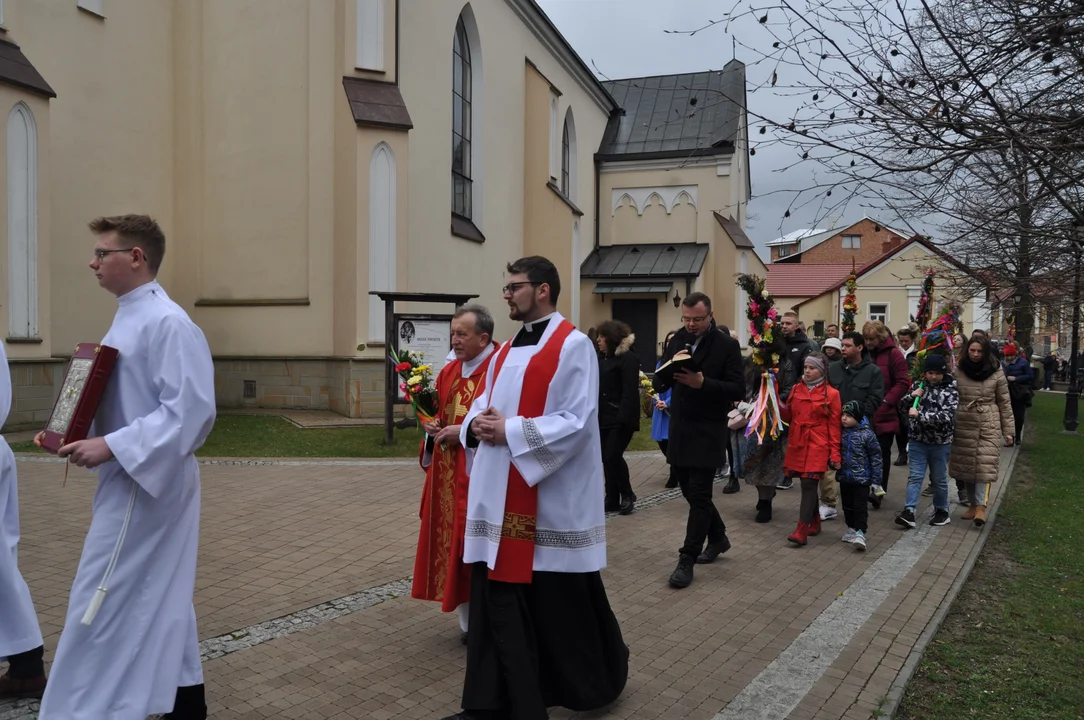 Parafianie w Przecławiu świętowali z pięknymi palmami własnego wykonania