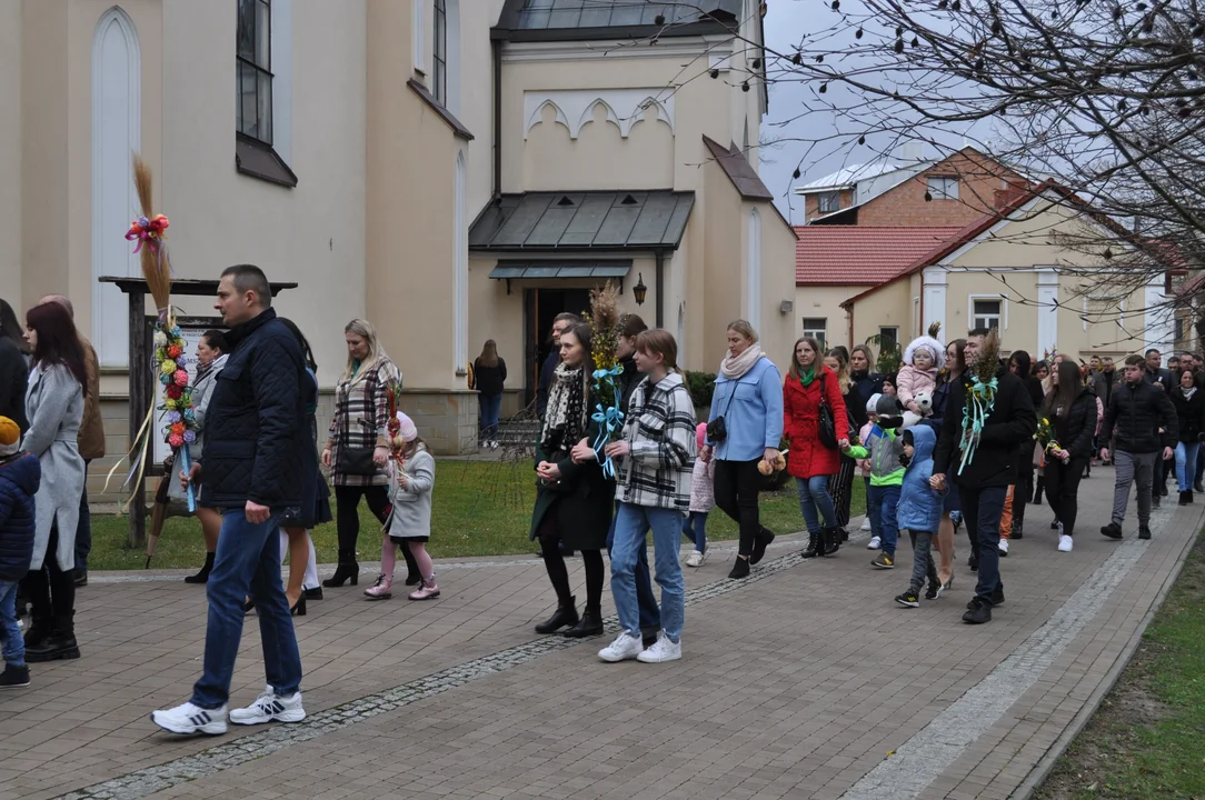 Parafianie w Przecławiu świętowali z pięknymi palmami własnego wykonania