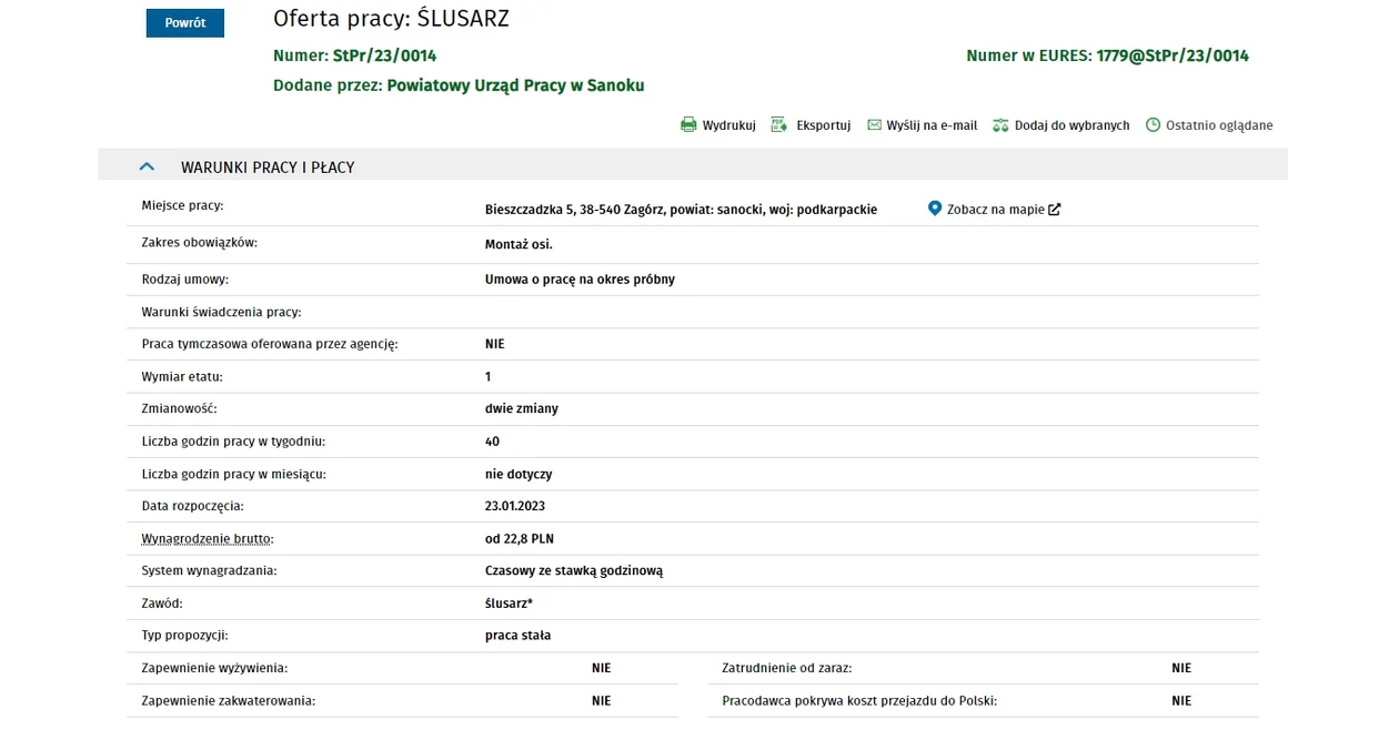 Szukają prezesa zarządu, jest oferta ze Służby Więziennej i wiele innych - propozycje pracy na Podkarpaciu