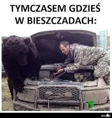 Memy o Bieszczadach