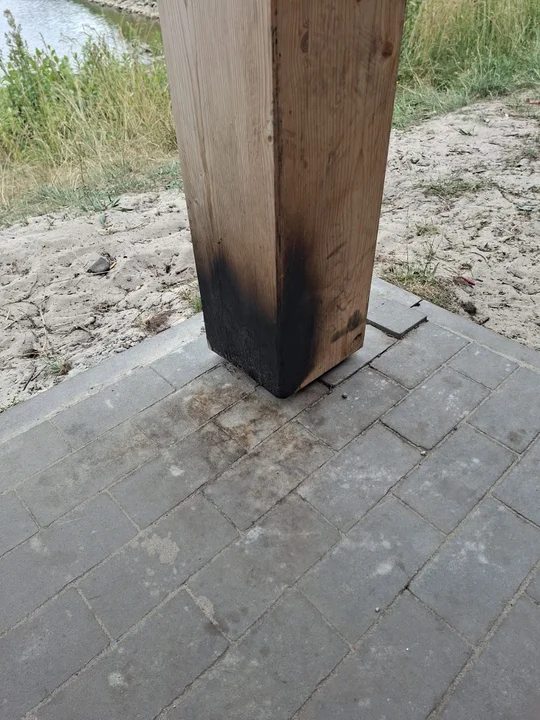 Akta wandalizmu w lesie w powiecie rzeszowskim