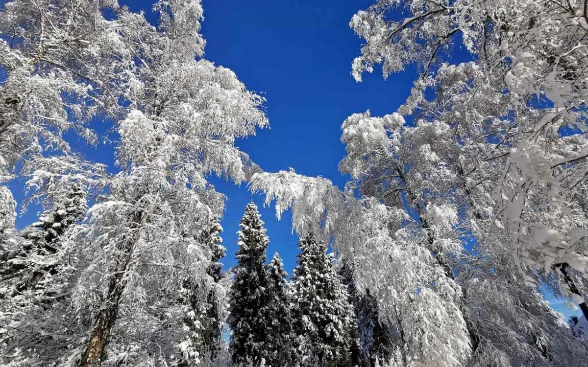 Bieszczady zimą