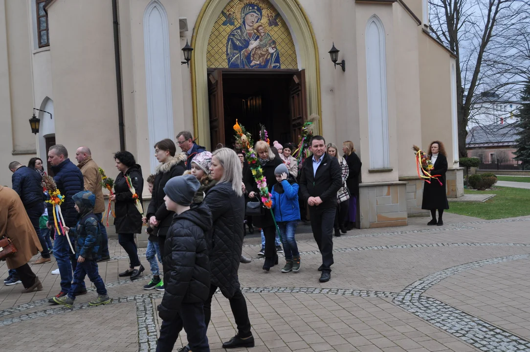 Parafianie w Przecławiu świętowali z pięknymi palmami własnego wykonania