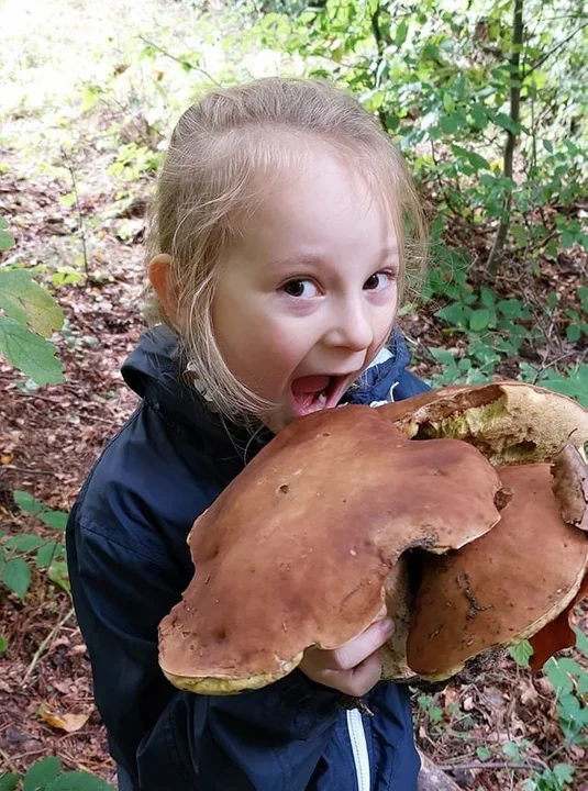 Zdjęcia naszych czytelników. Swoje okazy znaleźli w podkarpackich lasach