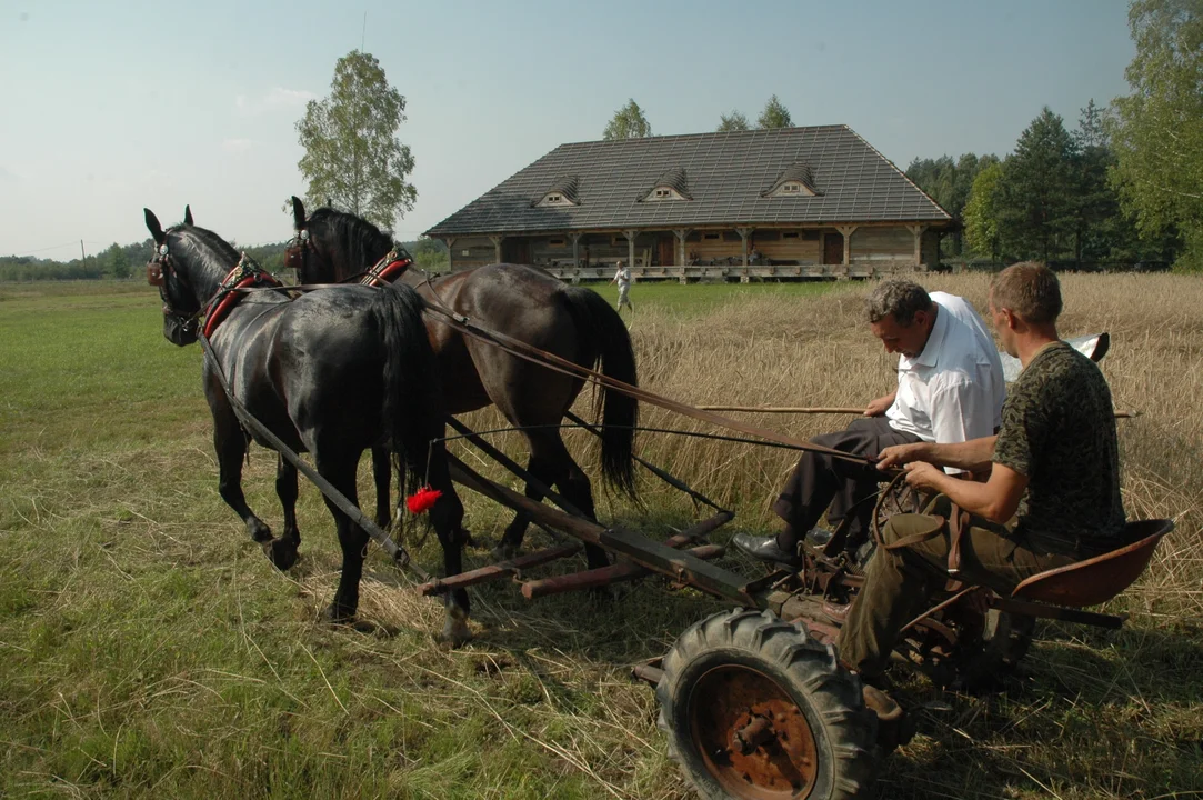 Koń, jaki jest.. - skansen w Kolbuszowej 2011