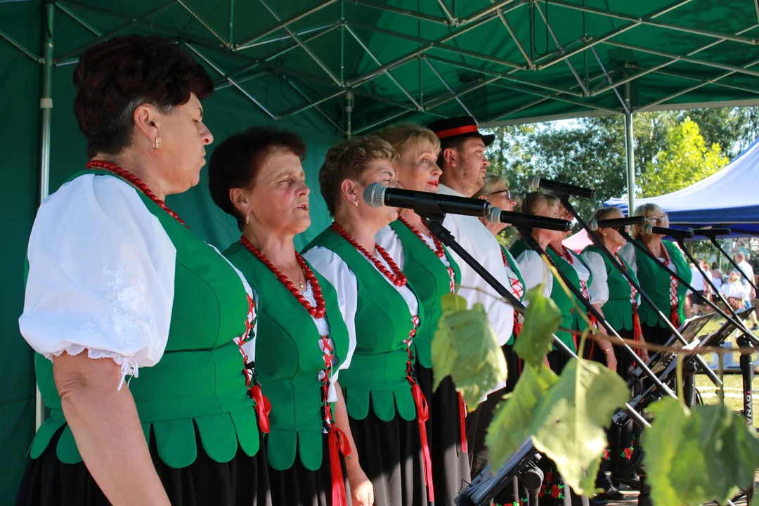 Święto Sokolnik koło Tarnobrzega