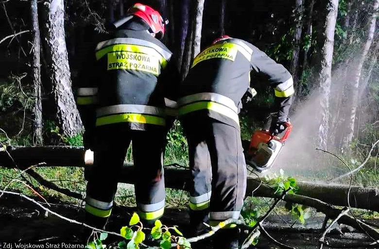 Zniszczenia po nocnej burzy na Podkarpaciu