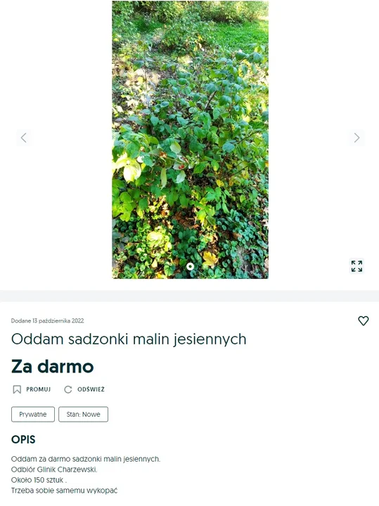 Te przedmioty rzeszowianie oddadzą za darmo. Przegląd ogłoszeń z OLX