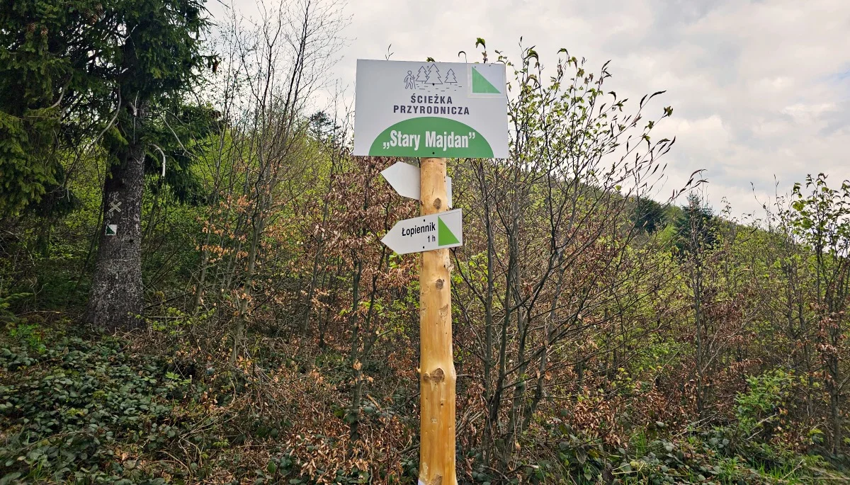 Bieszczady. "Stary Majdan" - nowa ścieżka. W Cisnej wytyczono nową trasę na Łopiennik - Zdjęcie główne