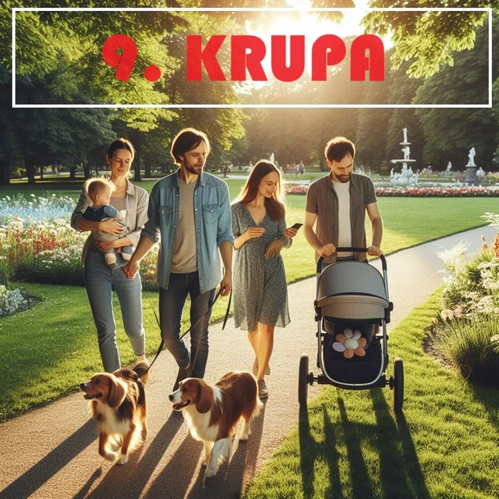 9. Krupa