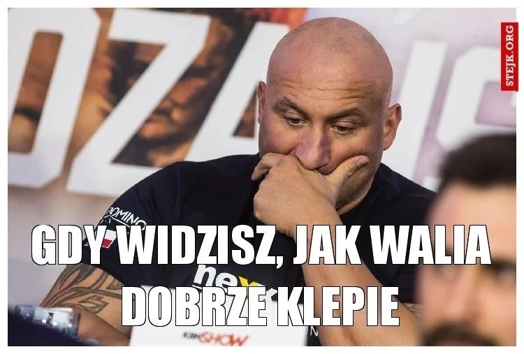 Memy po meczu Walia - Polska