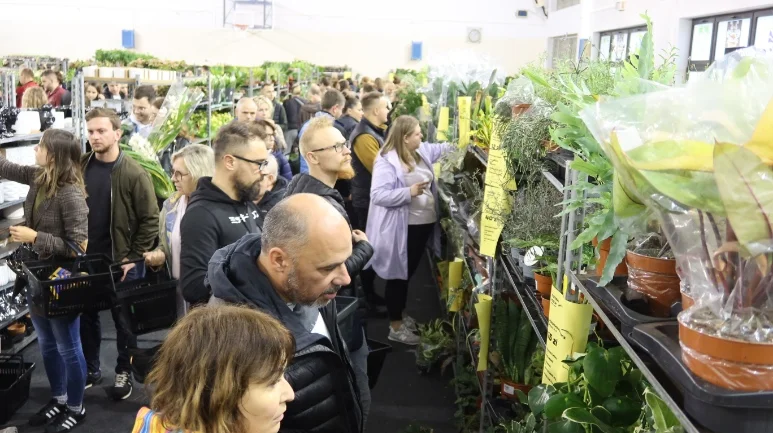 Tłumy ludzi na Festiwalu Roślin w Rzeszowie! [ZDJĘCIA, WIDEO]