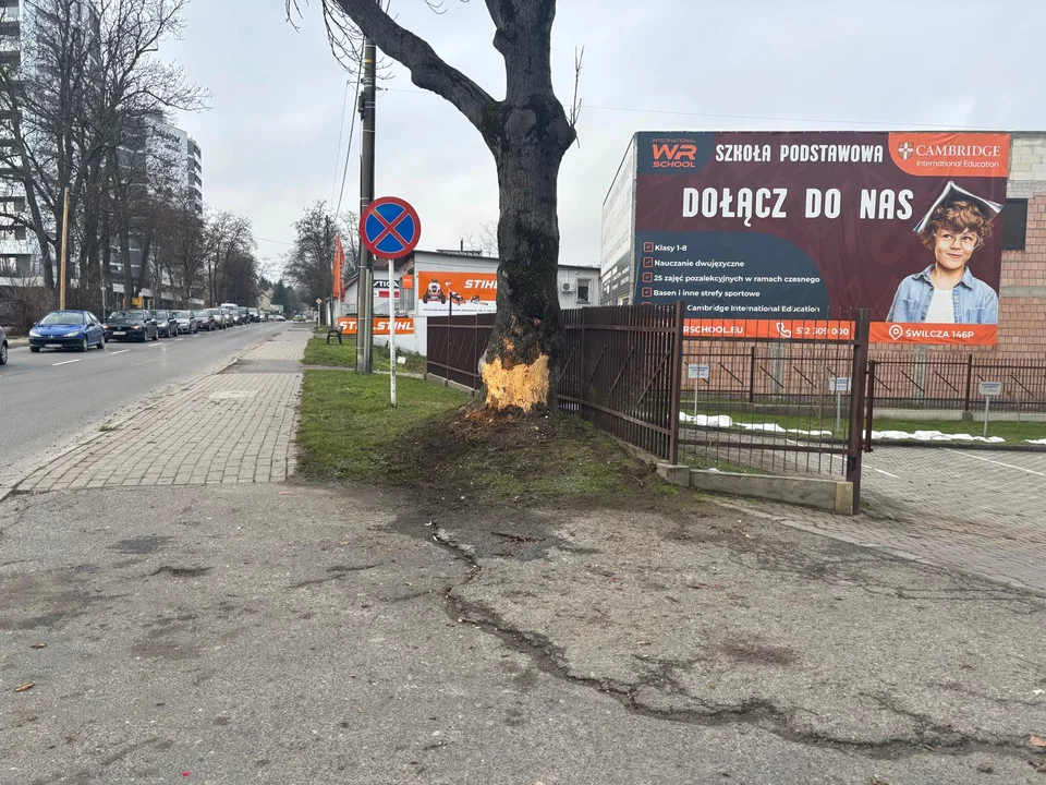 Miejsce śmiertelnego  wypadku na ulicy Langiewicza w Rzeszowie