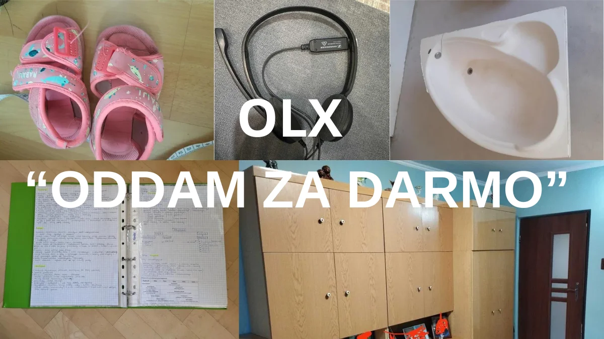 Zupełnie za darmo w Mielcu i okolicy. Najnowsze ogłoszenia na OLX - Zdjęcie główne