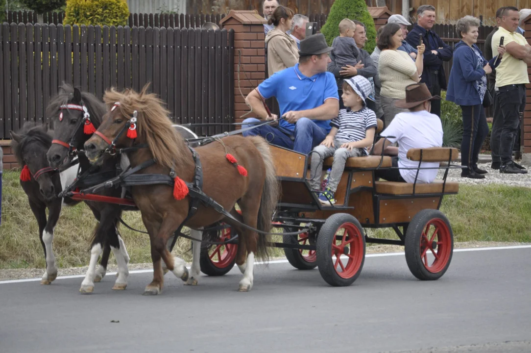 Parada konna w Żarówce