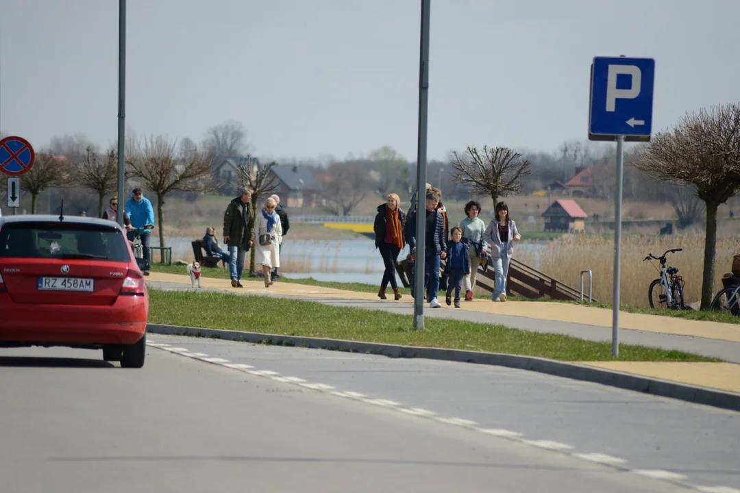 Lany poniedziałek nad Jeziorem Tarnobrzeskim: morsowanie, bieganie, spacery