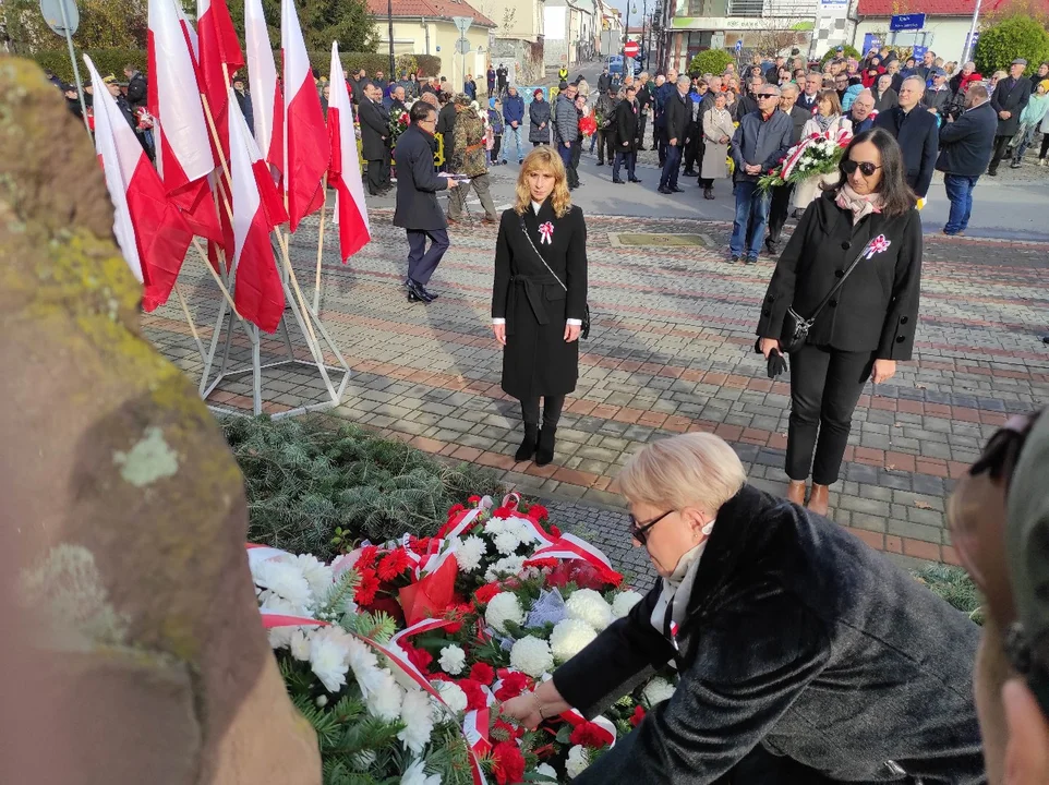 Narodowe Święto Niepodległości w Tarnobrzegu. Uroczystości przy pomniku Marszałka Józefa Piłsudskiego. - 104 lata temu narodziła się nowoczesna Polska - mówi prezydent miasta Dariusz Bożek [ZDJĘCIA - CZĘŚĆ 1] - Zdjęcie główne