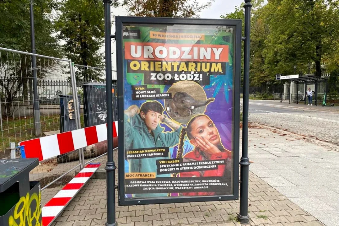 Orientarium Łódź – biznes za wszelką cenę? Jak głośne imprezy w najmodniejszym zoo w Polsce mają się do dobra zwierząt? - Zdjęcie główne