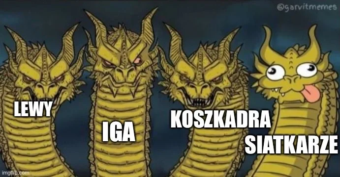 Co za sportowy weekend. Najlepsze memy po sukcesie Igi Świątek, medalu siatkarzy i awansie koszykarzy