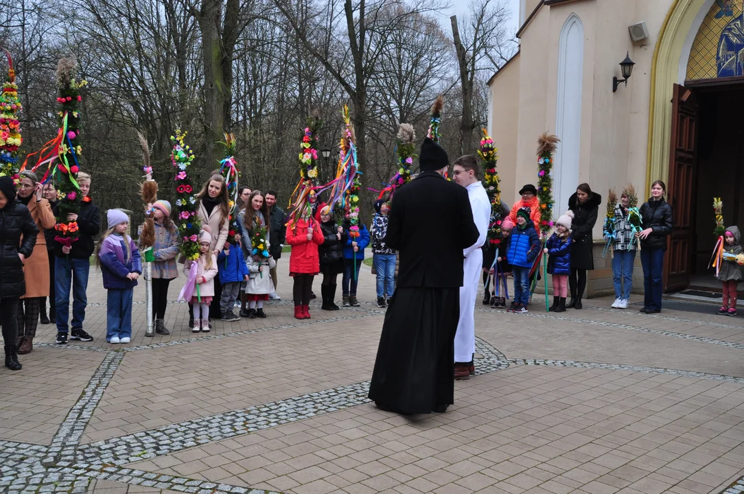 Parafianie w Przecławiu świętowali z pięknymi palmami własnego wykonania