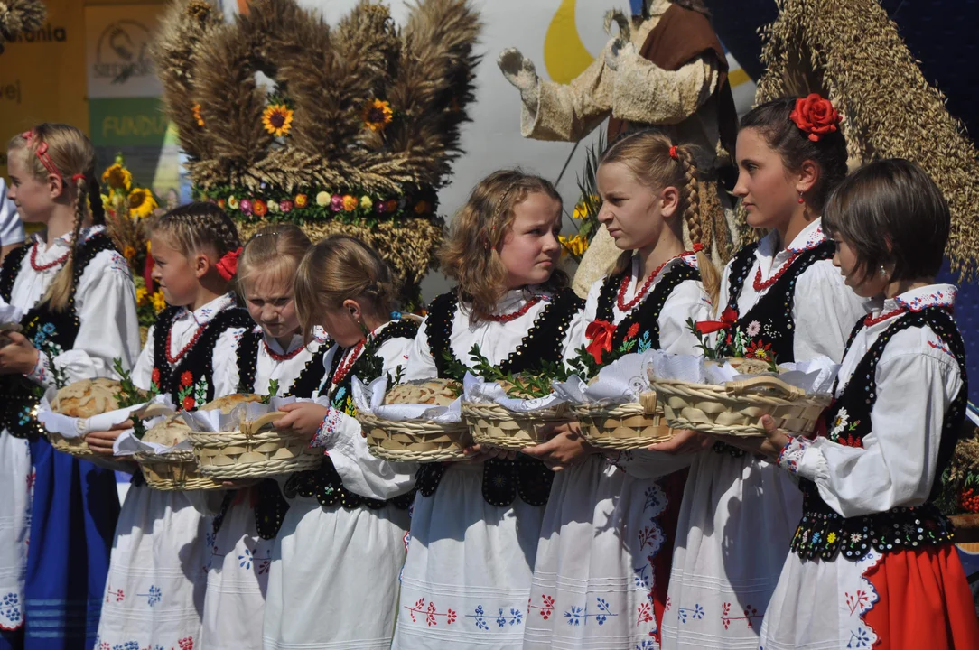 Zbliżają się gminne dożynki w Majdanie Królewskim. Będzie przemarsz korowodu dożynkowego [ZDJĘCIA - PLAKAT] - Zdjęcie główne