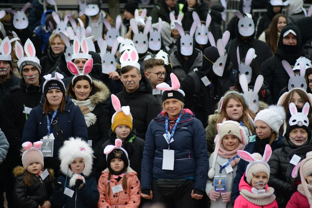 Rekord Polski dla Bartoszka Jędrasika chorego na SMA. W Tarnobrzegu zgromadziło się ponad 500 osób przebranych za króliki