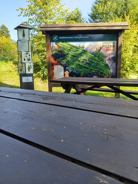 Przełęcz nad Żłobkiem, wiata i miejsce na ognisko