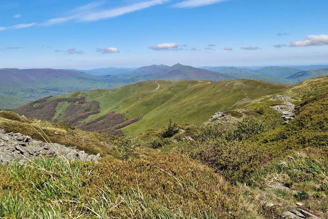 Bieszczady aż po horyzont