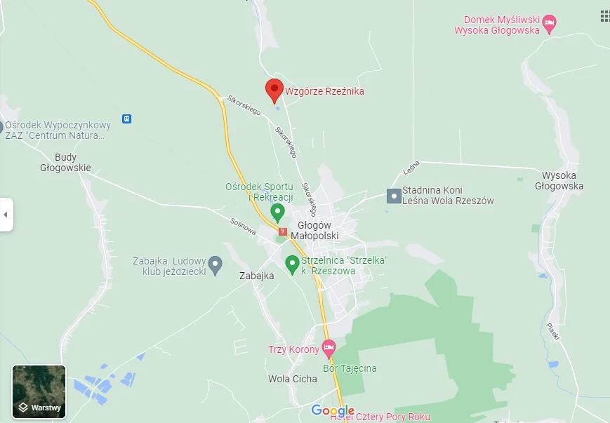 Tajemnicza postać w lesie w Głogowie Małopolskim uchwycona w Google Maps