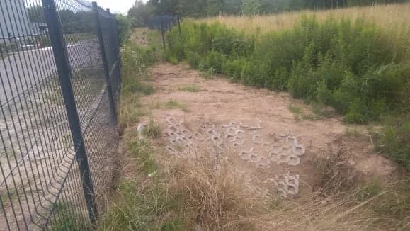 Brunatna i śmierdząca ciecz zalewała działkę Czytelniczki.