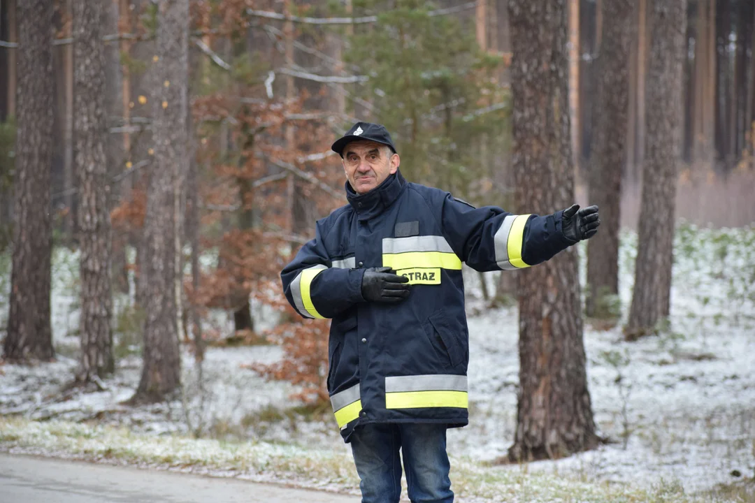 Love'LAS Jesień, a w lesie śnieg