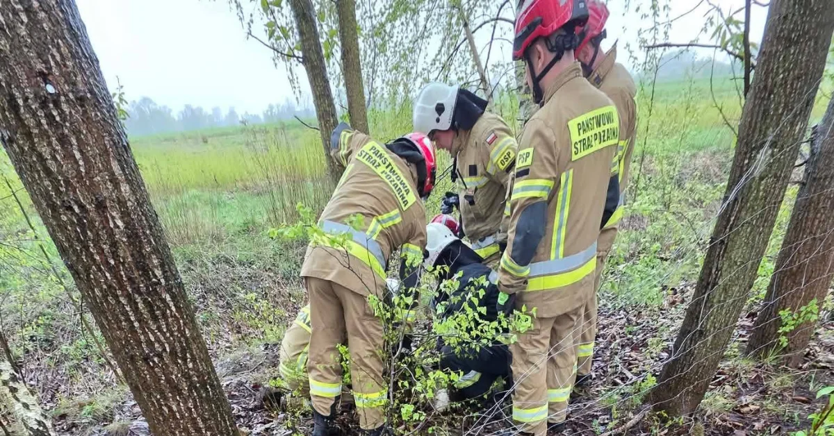 Strażacy ratują koziołka