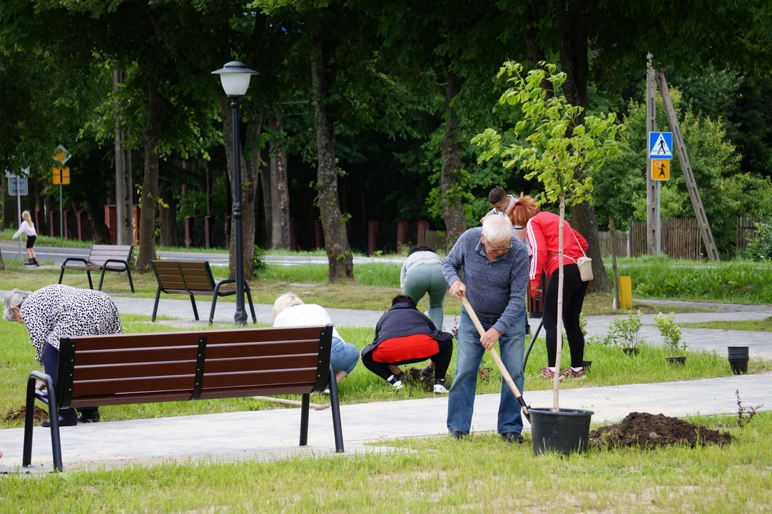 Skwer pieszo-rowerowy w Olszanicy wzbogacił się o nowe drzewa i krzewy