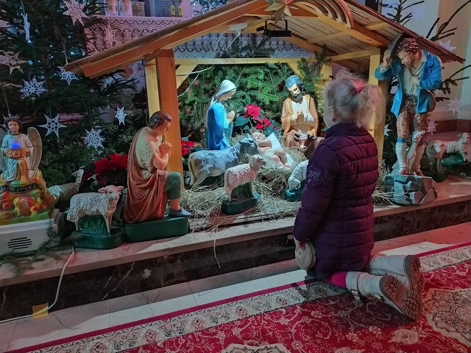 Piękne szopki bożonarodzeniowe w powiecie kolbuszowskim. Zobacz naszą galerię [ZDJĘCIA] - Zdjęcie główne