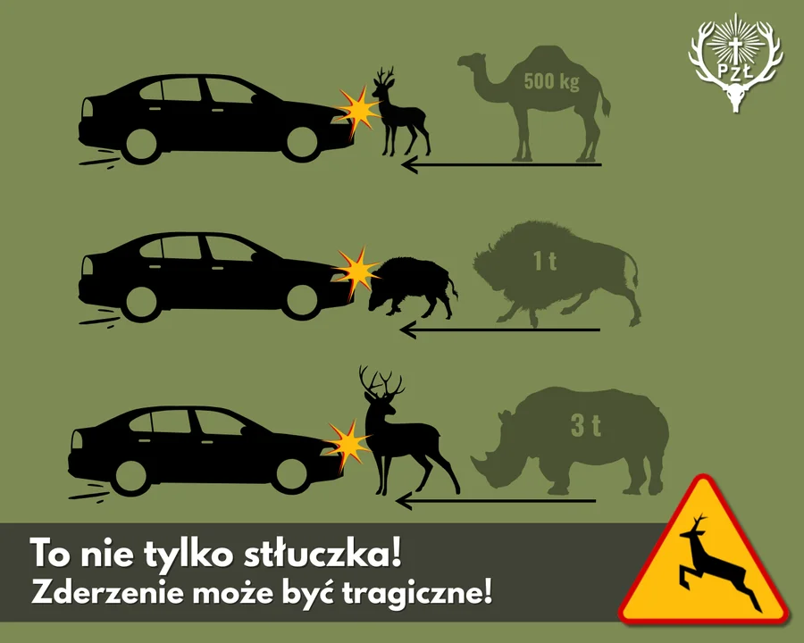 5 złotych zasad