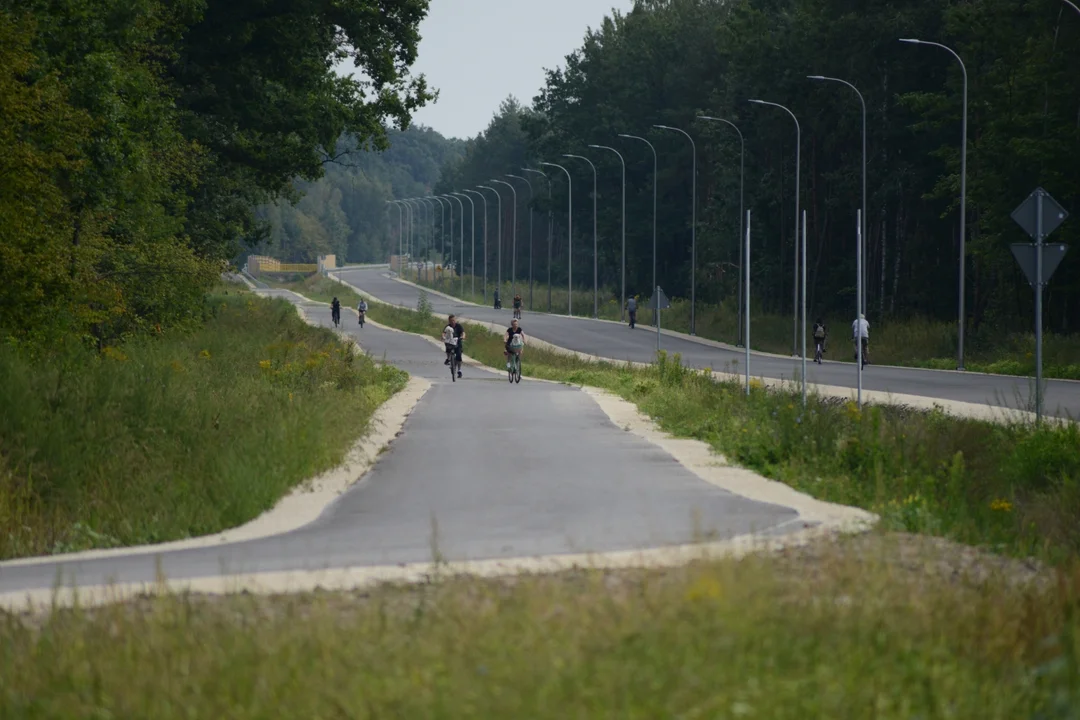 Obwodnica Tarnobrzeg - postęp prac od Lasu Zwierzynieckiego do osiedla Zakrzów