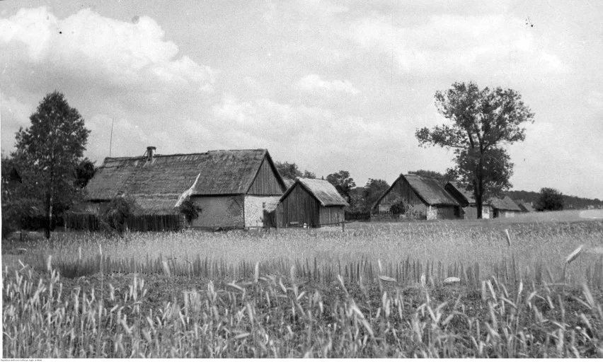 Życie na wsi w epoce PRL-u