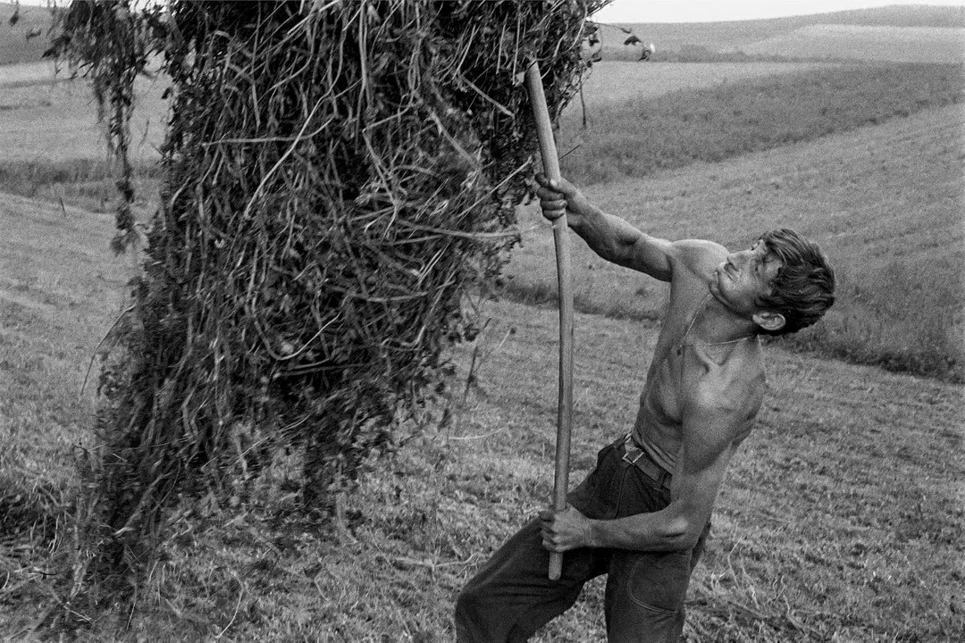 Życie na wsi, życie w mieście - Podkarpacie na archiwalnych zdjęciach