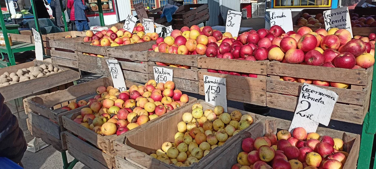 Warzywa i owoce sezonowe przy hali targowej. Jak wypadają cenowo?