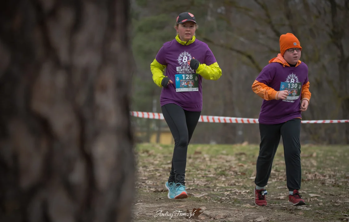 8. Bieg "Policz się z cukrzycą" w Stalowej Woli